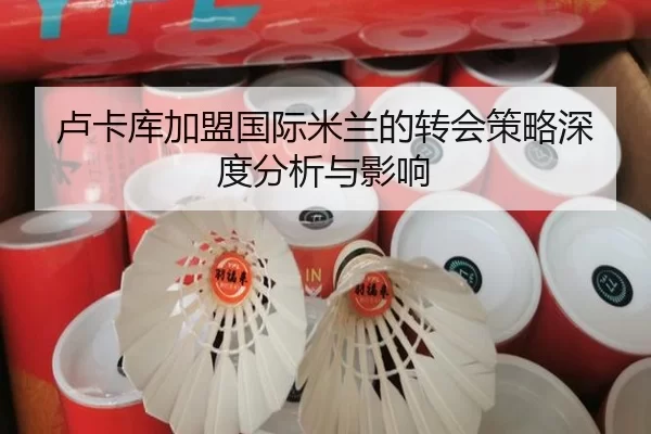 卢卡库加盟国际米兰的转会策略深度分析与影响
